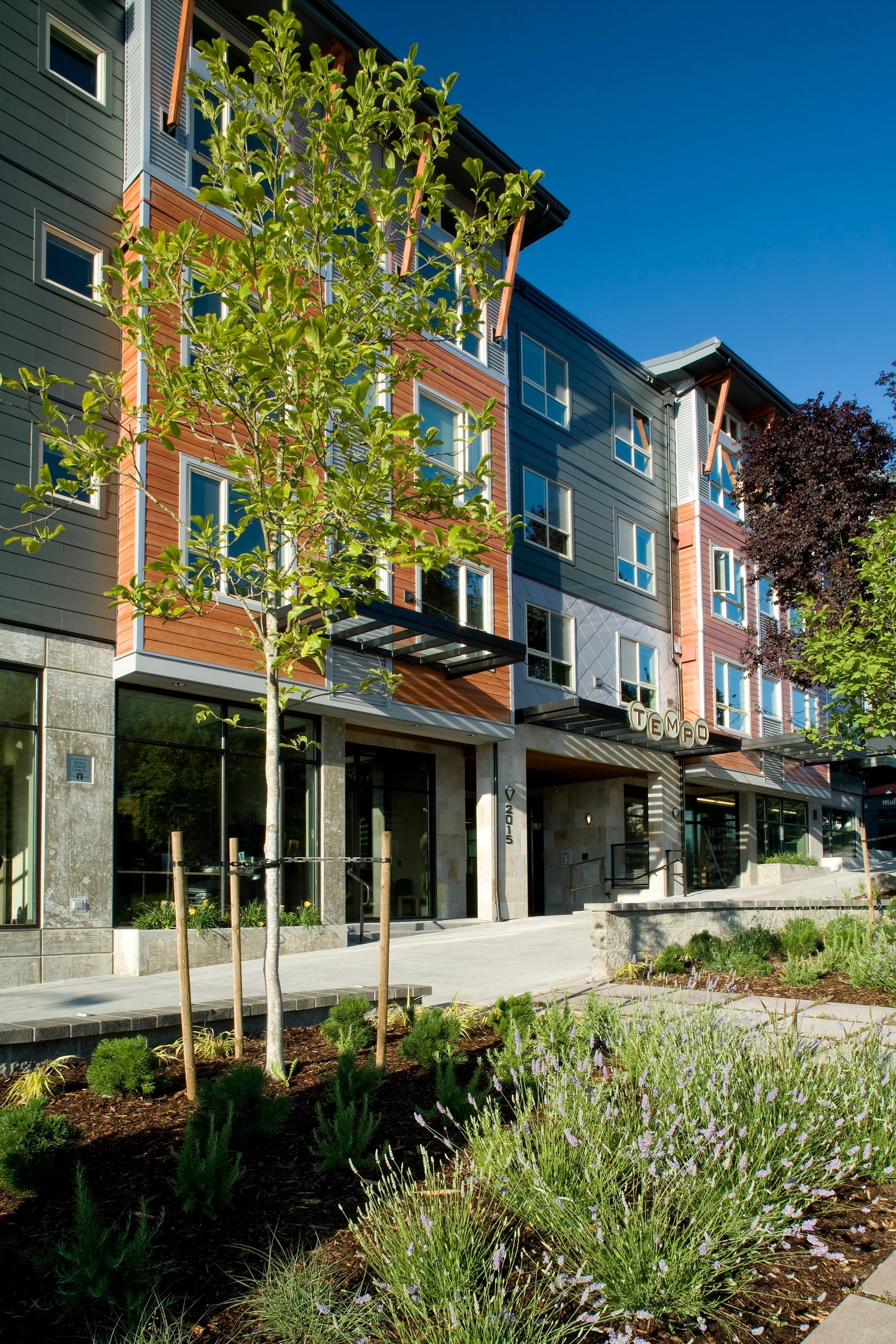 Tempo Apartments front entry with TEMPO sign and lavender landscaping