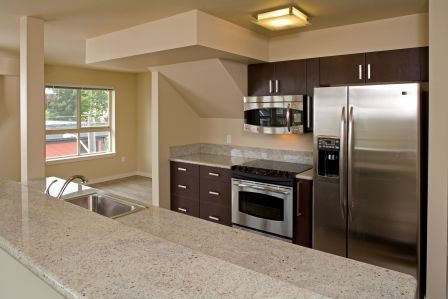 Tempo apartment kitchen with granite counters and stainless steel appliances